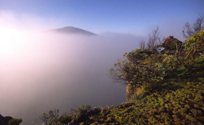 L’Ile de la Réunion inaugure sa Cité du Volcan