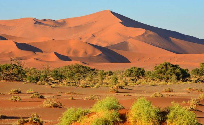 La Namibie, 25 ans d'indépendance !