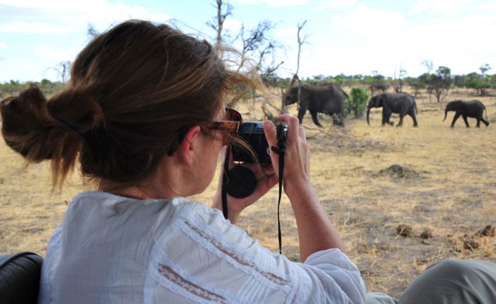 Safari au Zimbabwe, le parc de Hwange