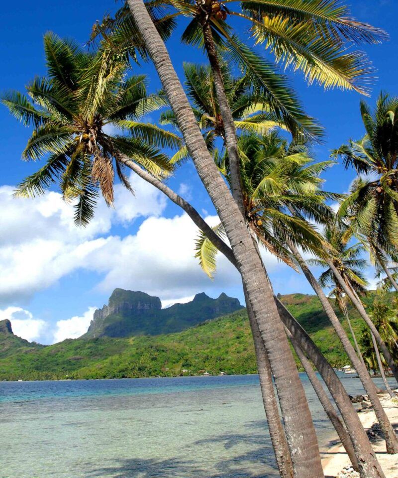 Voyage en Polynesie